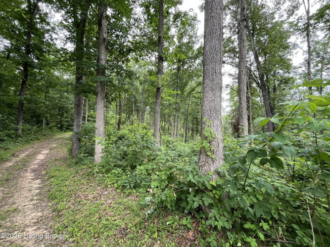 Listing Image 41