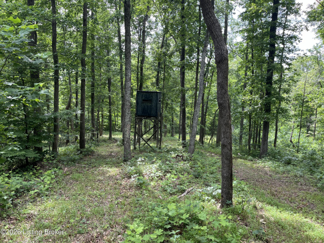 Listing Image 42