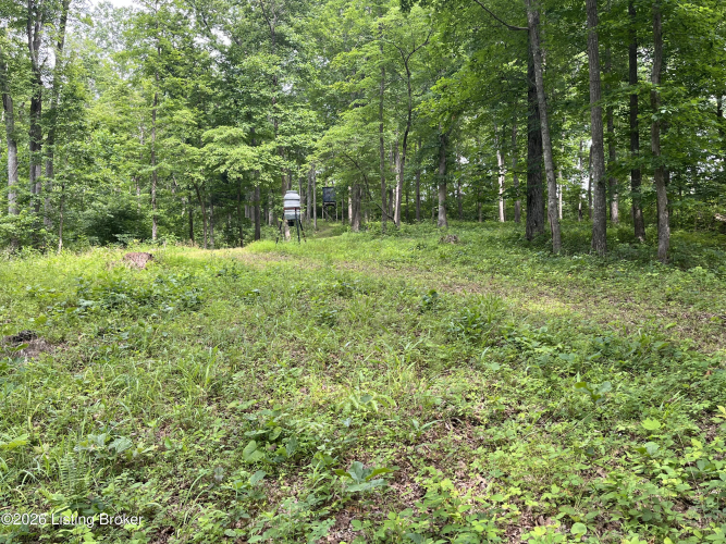 Listing Image 44