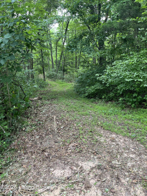 Listing Image 45
