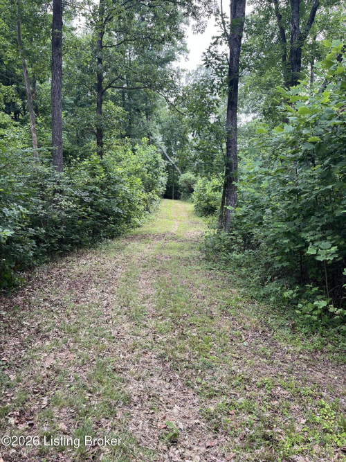 Listing Image 46
