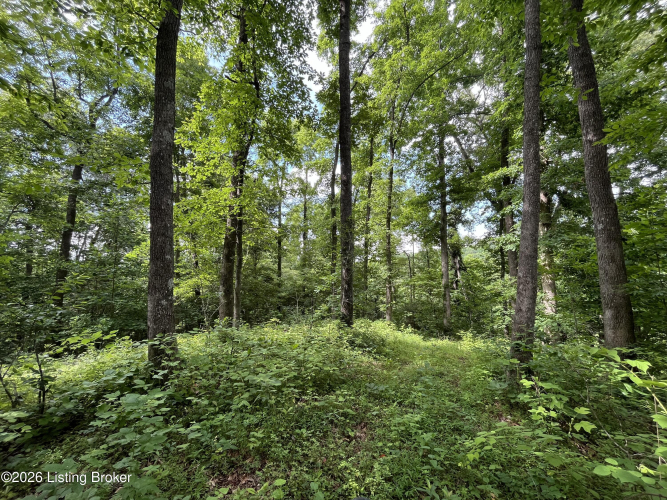 Listing Image 48