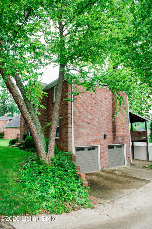 Listing Image 45