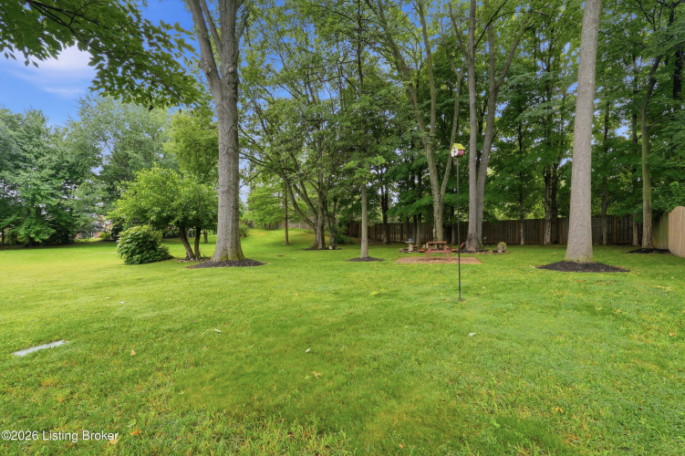 Listing Image 46