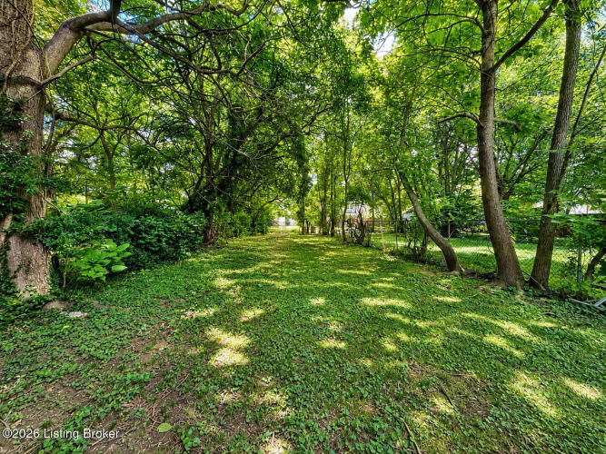 Listing Image 5
