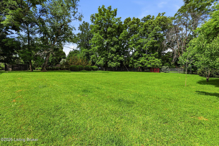 Listing Image 99