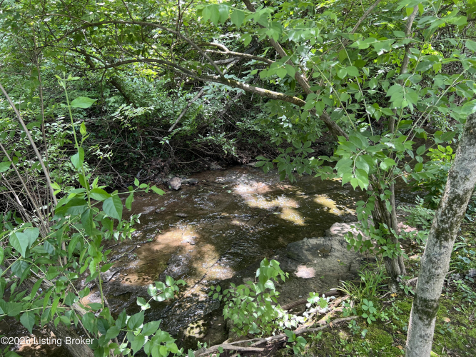 Listing Image 47