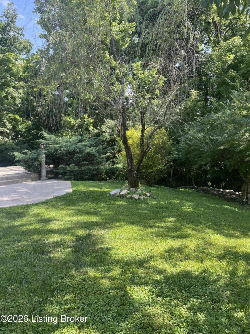 Listing Image 59