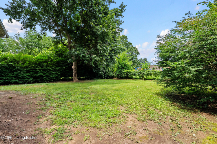 Listing Image 41