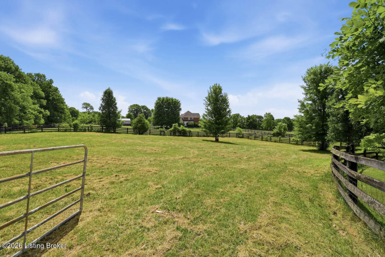 Listing Image 69