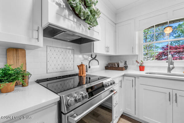 Listing Image 12