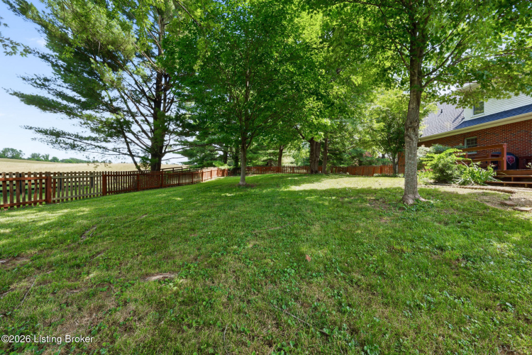 Listing Image 62