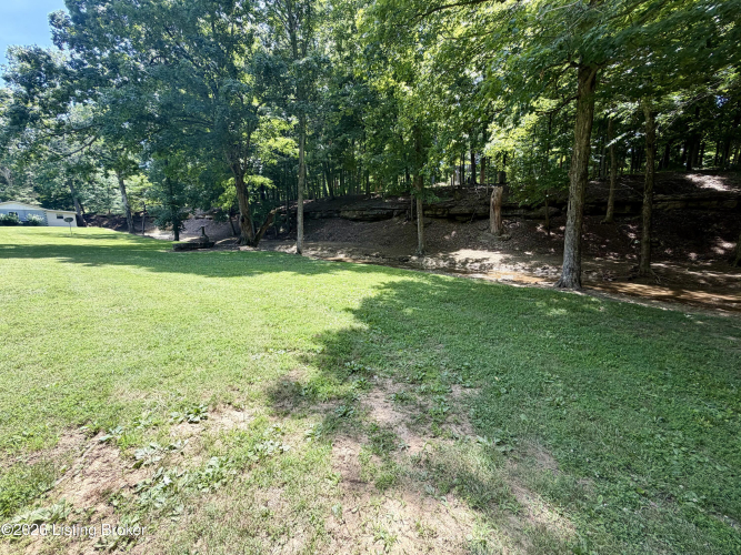 Listing Image 52