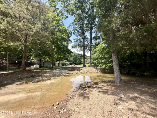 Listing Image 60