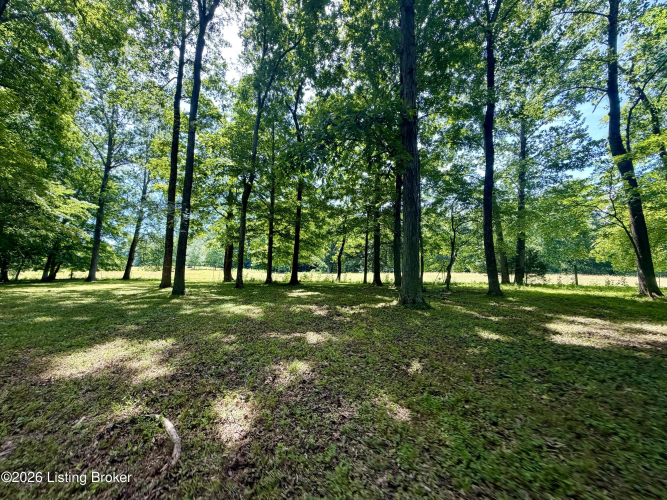 Listing Image 61