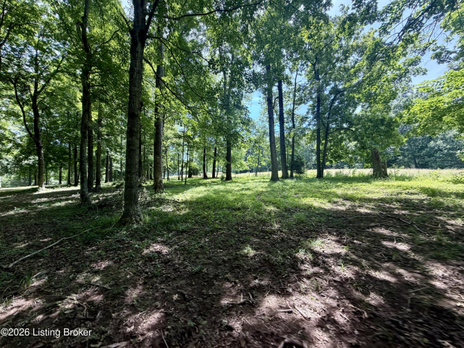 Listing Image 62