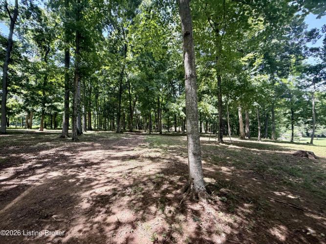 Listing Image 63