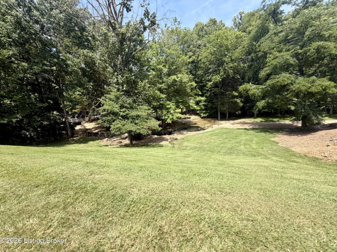 Listing Image 64