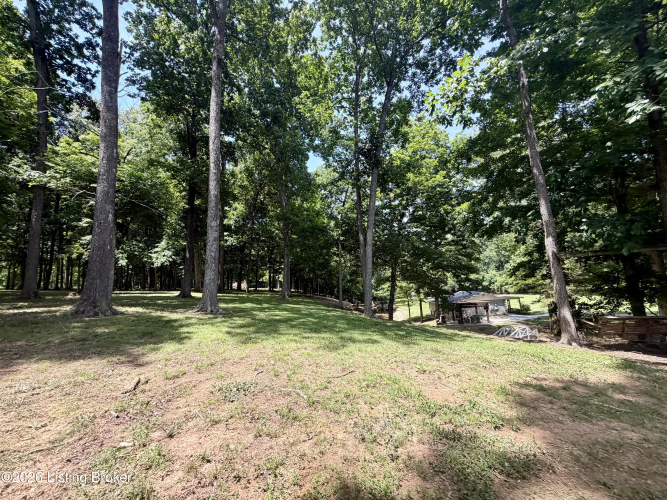 Listing Image 66