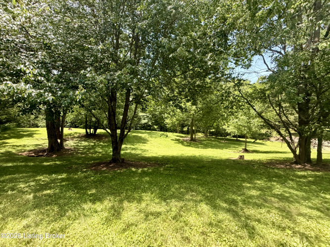 Listing Image 68