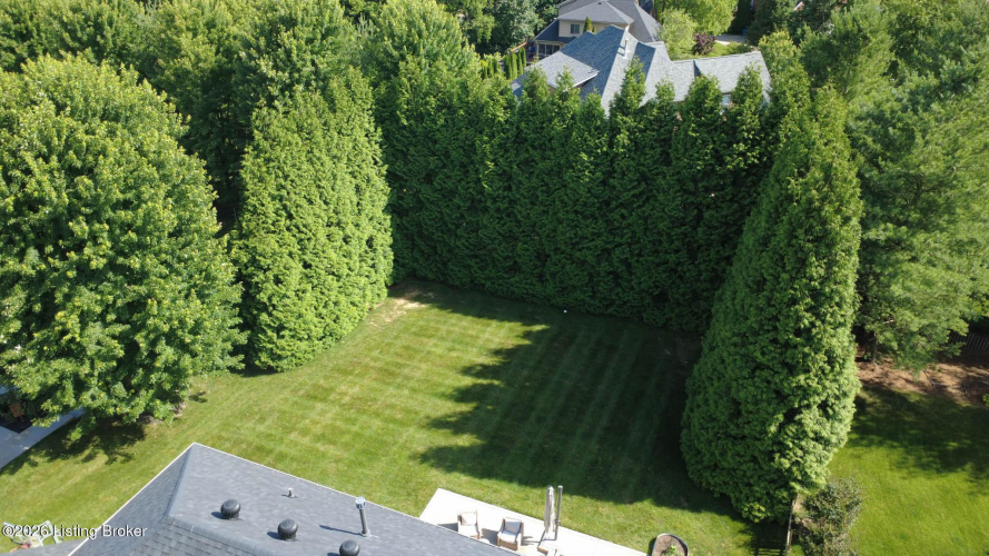 Listing Image 97