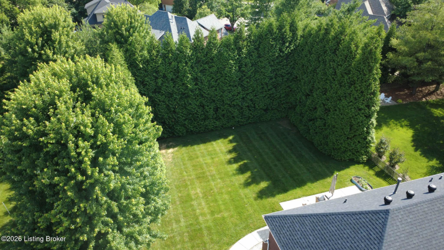 Listing Image 98