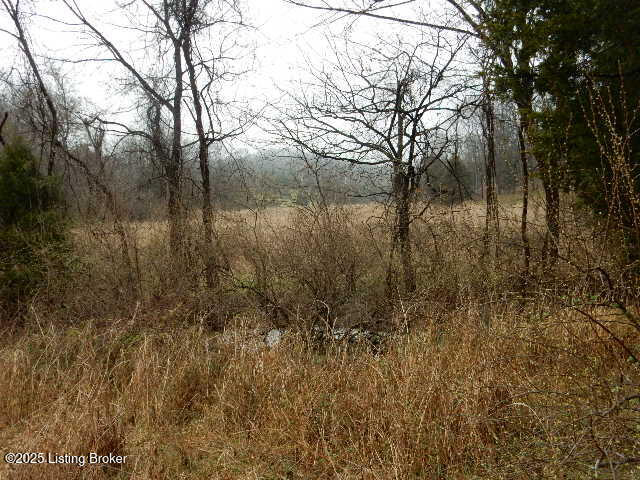 Listing Image 24
