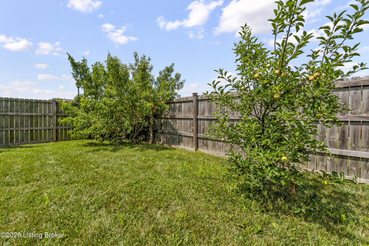 Listing Image 49