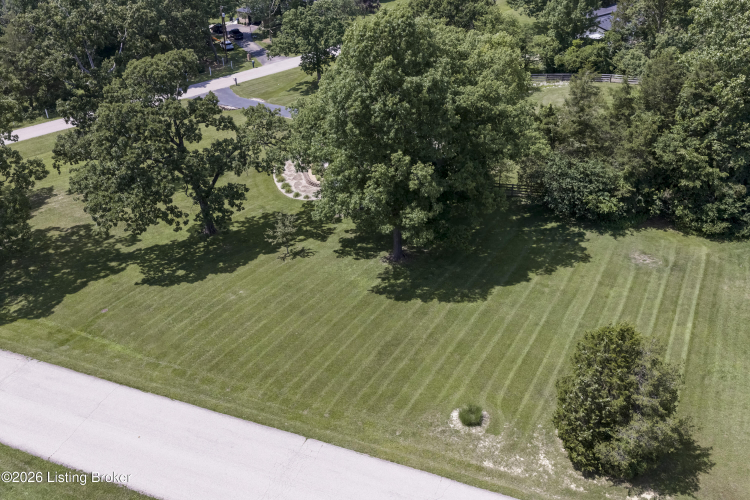 Listing Image 66