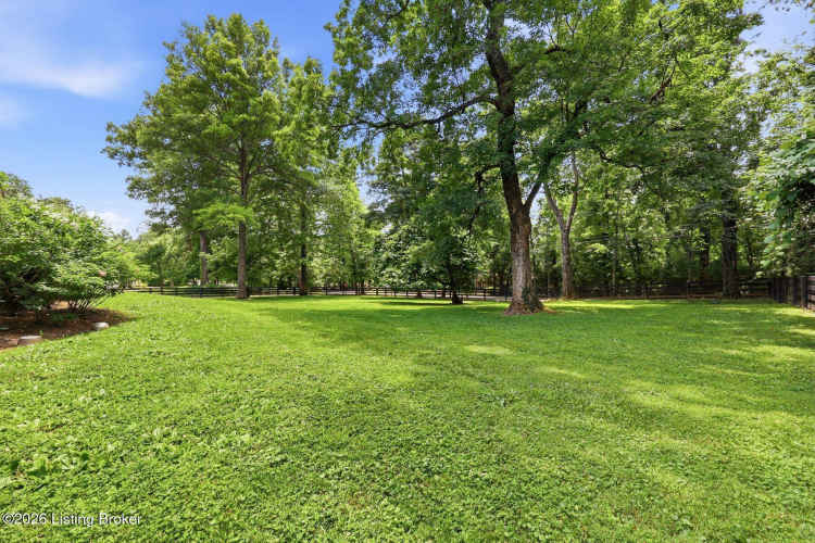 Listing Image 61