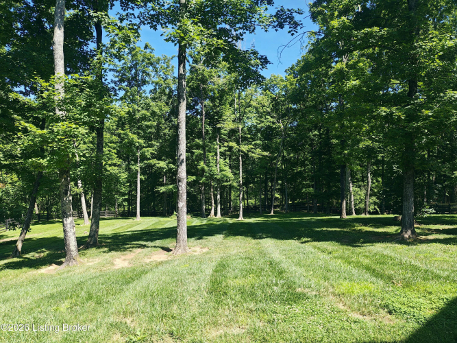Listing Image 45