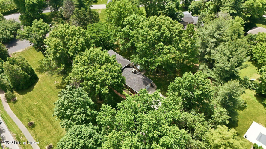 Listing Image 38