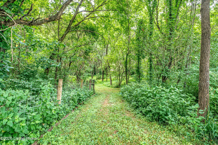 Listing Image 53
