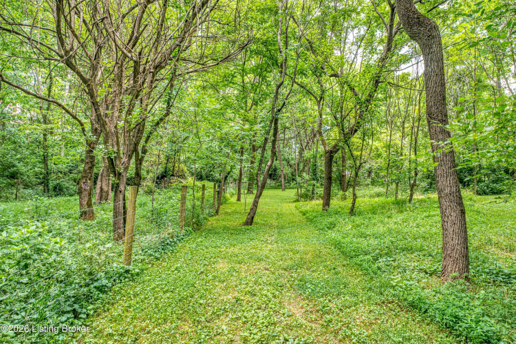 Listing Image 54