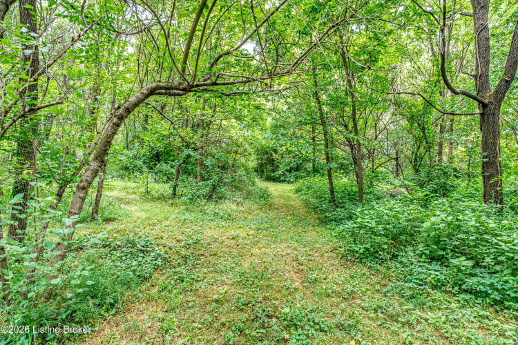 Listing Image 55