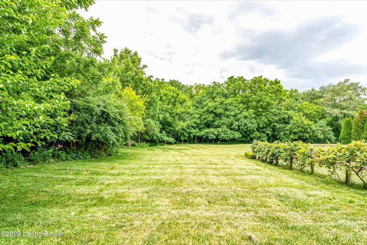 Listing Image 56