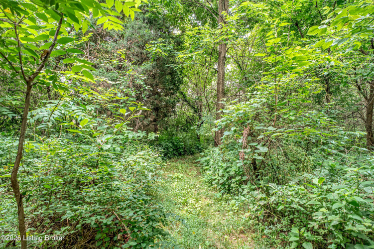 Listing Image 57