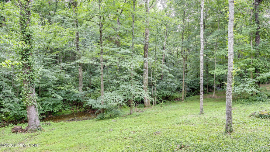 Listing Image 77