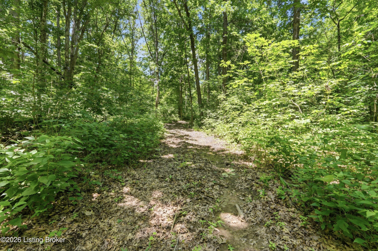 Listing Image 41