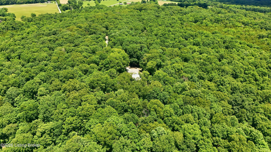 Listing Image 51