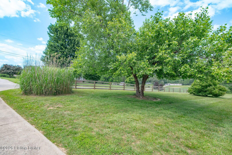 Listing Image 84