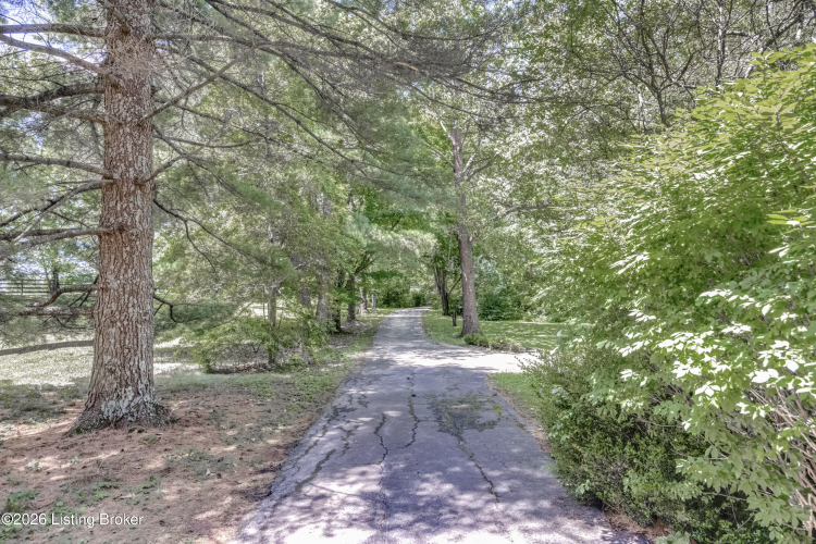 Listing Image 78