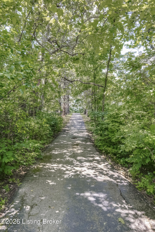 Listing Image 79