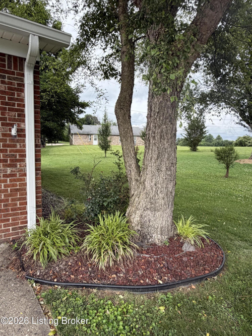 Listing Image 30