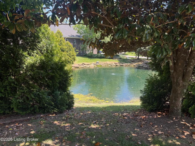 Listing Image 53