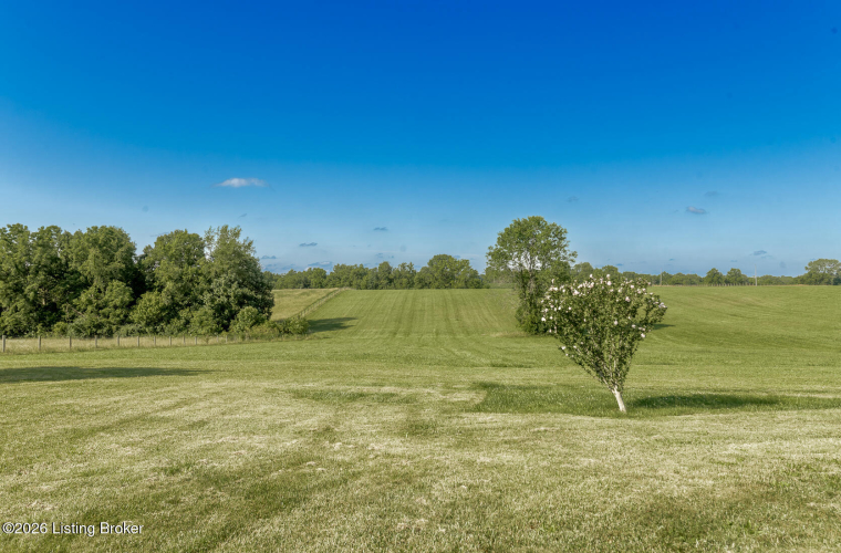 Listing Image 51