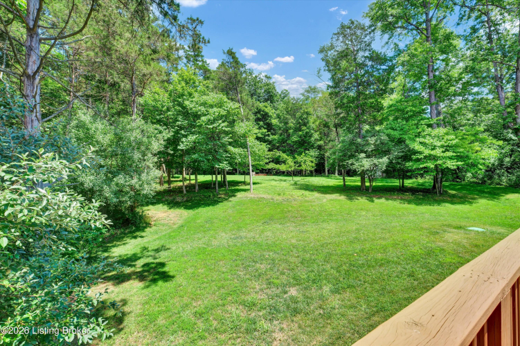 Listing Image 54