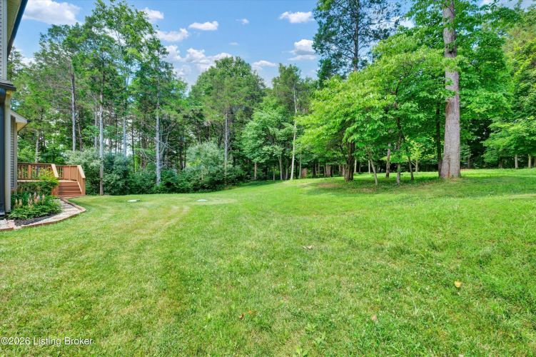 Listing Image 59