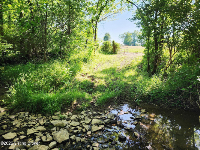 Listing Image 77