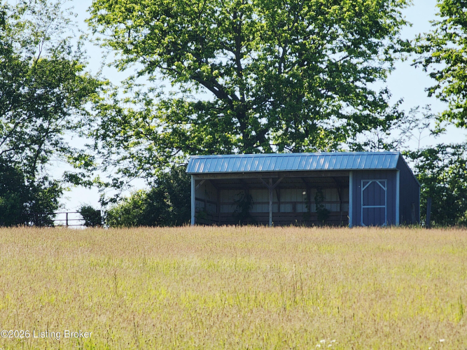 Listing Image 79